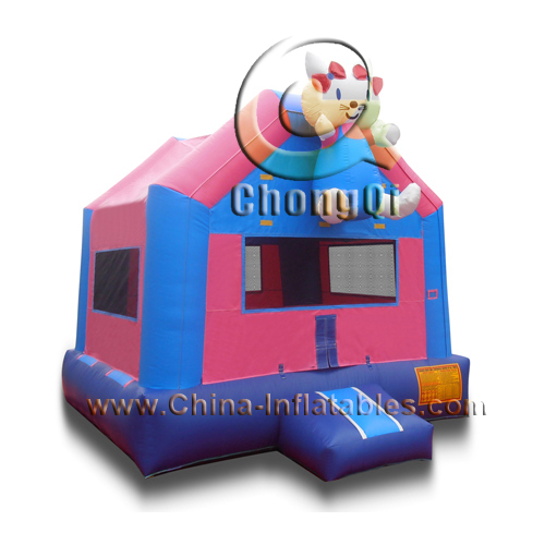 fashion inflatable bouncer